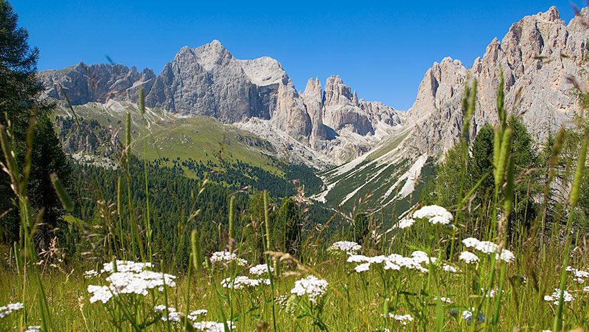 © Foto Nicola Angeli