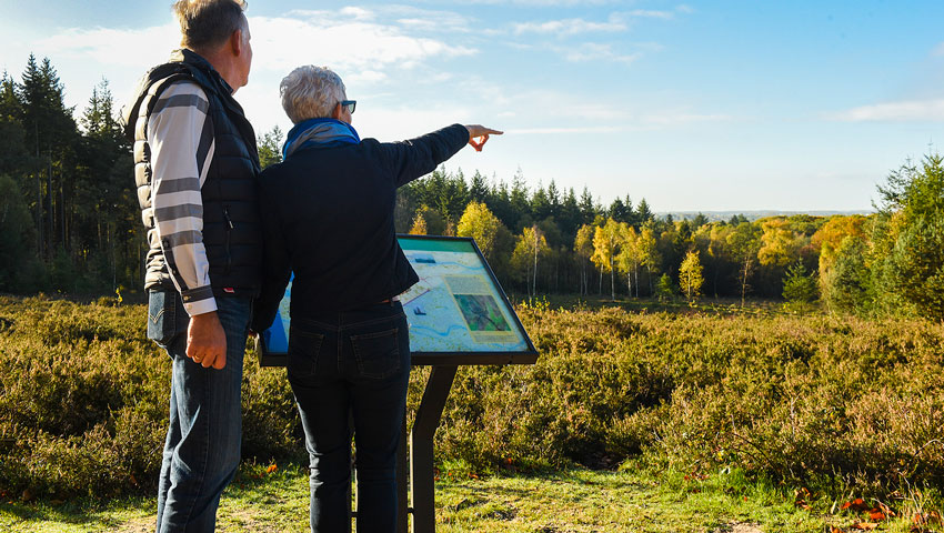 stedentrips uh grijsstelletje