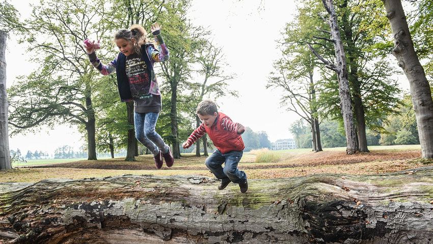 stedentrips uh kinderen