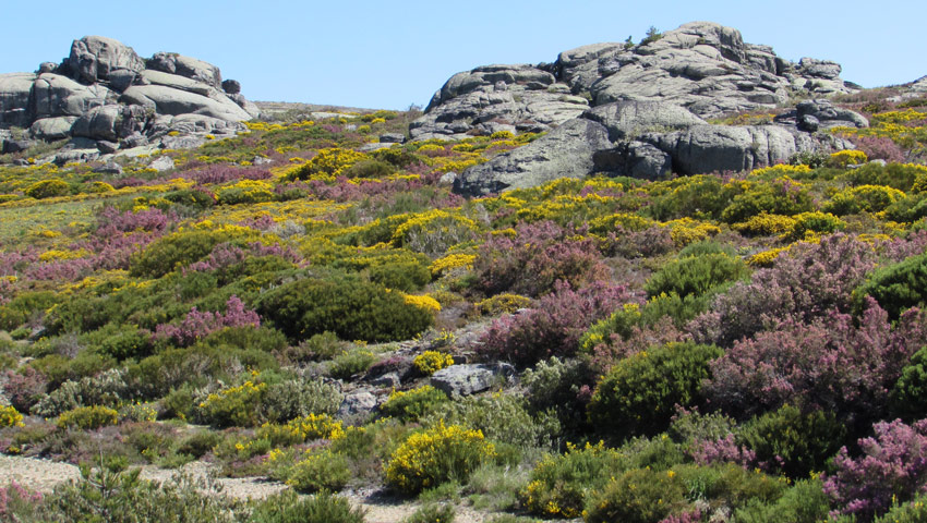 wandelvakantie stap reizen pt peneda 2015 529