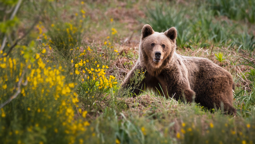 wandelvakantie betterplaces spanje beer