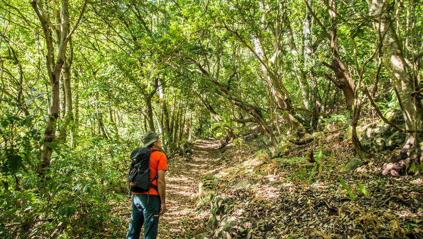 wandelvakantie tenerife 2