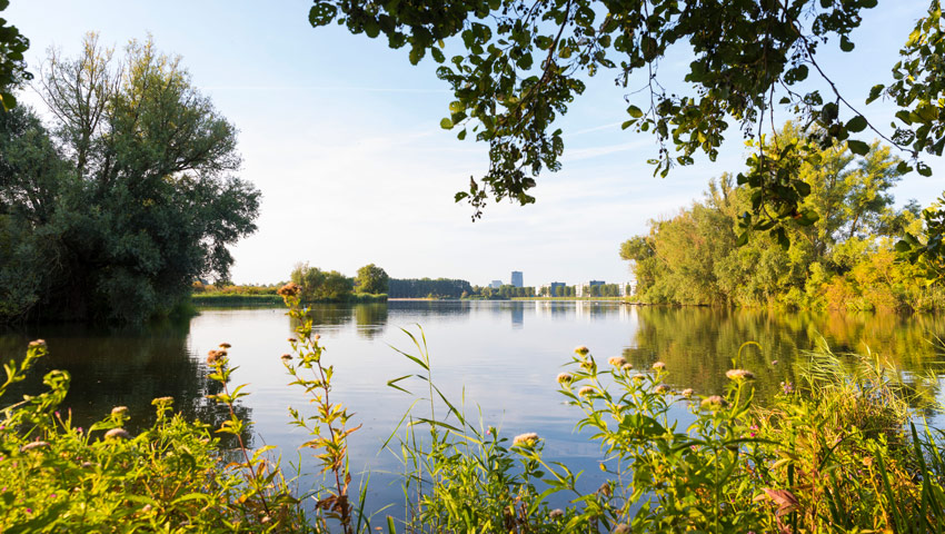 stedentrips almere lepelaarplassen rv met naamsvermelding maarten feenstra 11 1