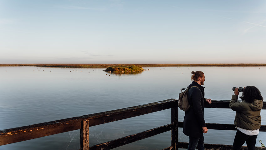 stedentrips almere oostvaardersplassen almerecitymarketing bdd 07.09.21 hr 7