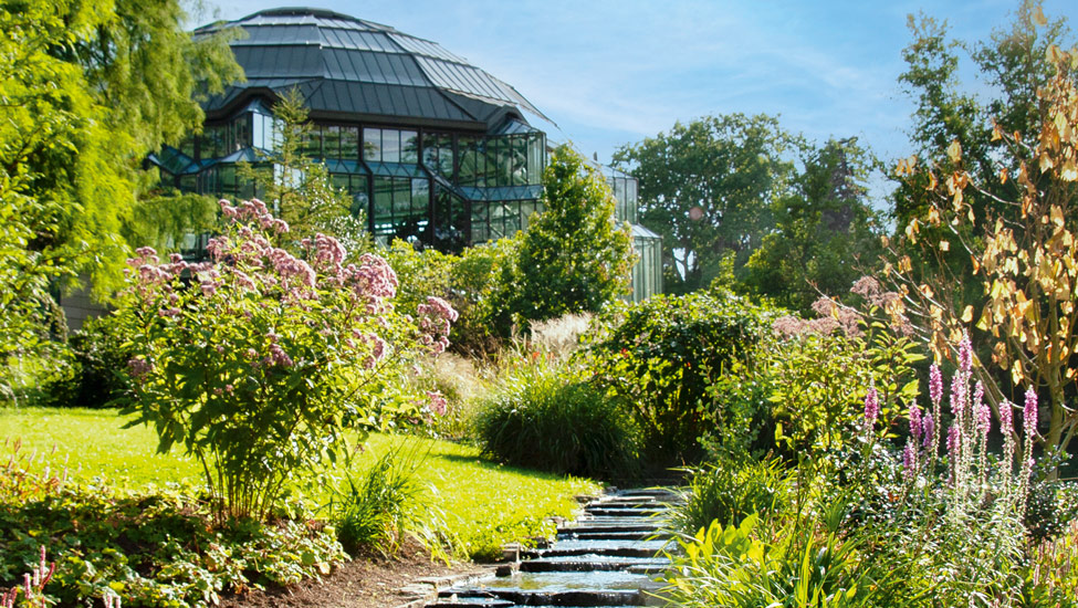 wandelnieuws badenweiler kupark
