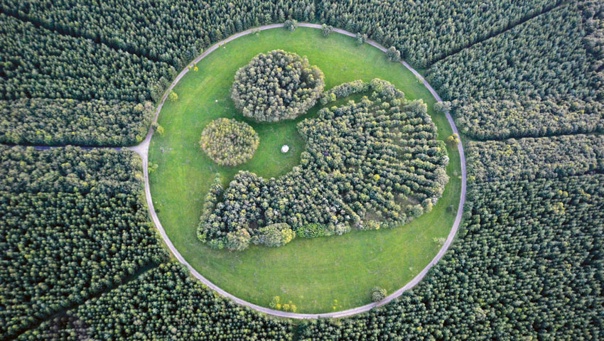 bastogne bizory bois de la paix 02 cetienne lorea