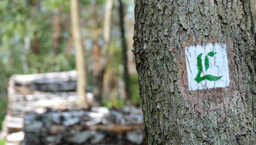 wandelvakantie stedentrips leipzig lutherweg sachsen foto wolfgang siesing