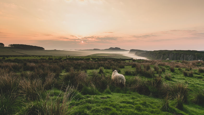 egwt hadrians wall path